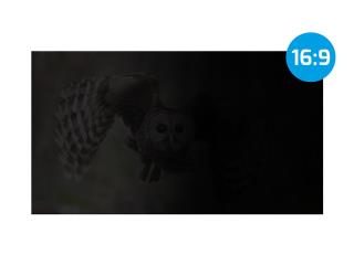 Filtr prywatyzujący RODO Natec Owl 23,8" 16:9