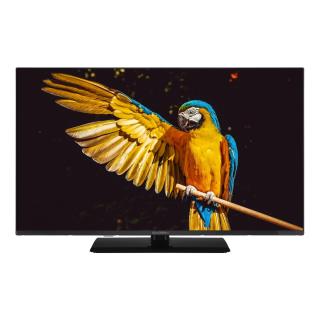 Telewizor GoGEN TVF32M340STWEB 32”