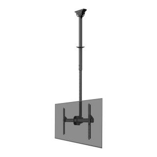 Uchwyt sufitowy na telewizor Neomounts CL35-440BL16L 37"-70"