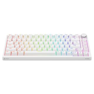 Klawiatura przewodowa SAVIO ASTRAL White OUTEMU White Jade RGB magnetyczna