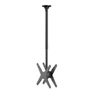 Uchwyt sufitowy na dwa monitory Neomounts FPMA-C340DBLACK 32"-75" max. 2x50kg max. VESA 400x400