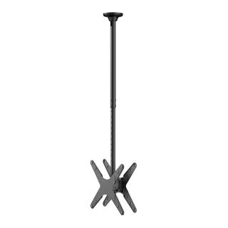 Uchwyt sufitowy na dwa monitory Neomounts FPMA-C340DBLACK 32"-75" max. 2x50kg max. VESA 400x400