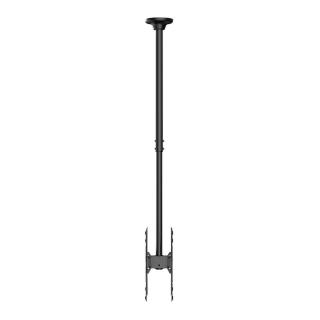 Uchwyt sufitowy na dwa monitory Neomounts FPMA-C340DBLACK 32"-75" max. 2x50kg max. VESA 400x400