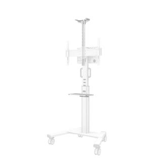 Zestaw wideo Neomounts AFLS-825WH1 uchwyt wideobar i półka na media biały